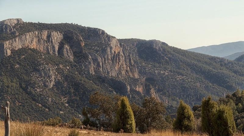 Castellón - Vistabella del Maestrat - 2140000m2