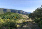 Masía con terreno en venta en la España, Vistabella del Maestrat, ref: TR277569 foto