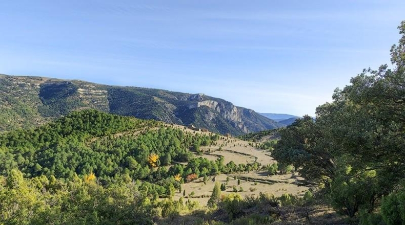 Castellón - Vistabella del Maestrat - 2140000m2