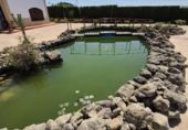 Xalet independent amb terreny en venda a la España, Arcos de la Frontera, ref.: TR247179 foto