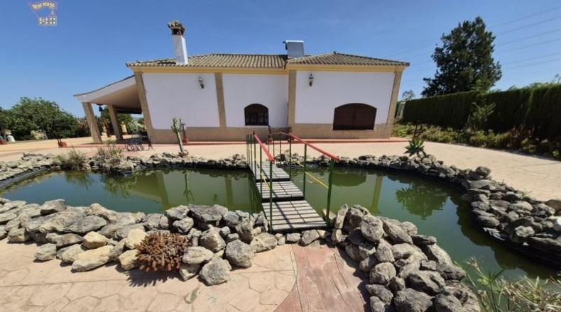 Cadiz - Arcos de la Frontera - 20500m2