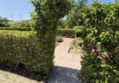 Xalet independent amb terreny en venda a la España, Arcos de la Frontera, ref.: TR247179 foto