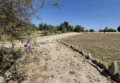 Xalet independent amb terreny en venda a la España, Arcos de la Frontera, ref.: TR247179 foto