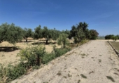 Xalet independent amb terreny en venda a la España, Arcos de la Frontera, ref.: TR247179 foto