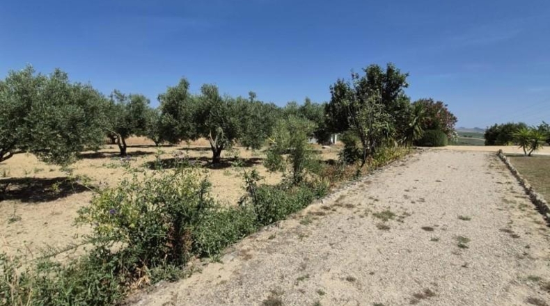 Cadiz - Arcos de la Frontera - 20500m2