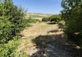 Xalet independent amb terreny en venda a la España, Arcos de la Frontera, ref.: TR247179 foto