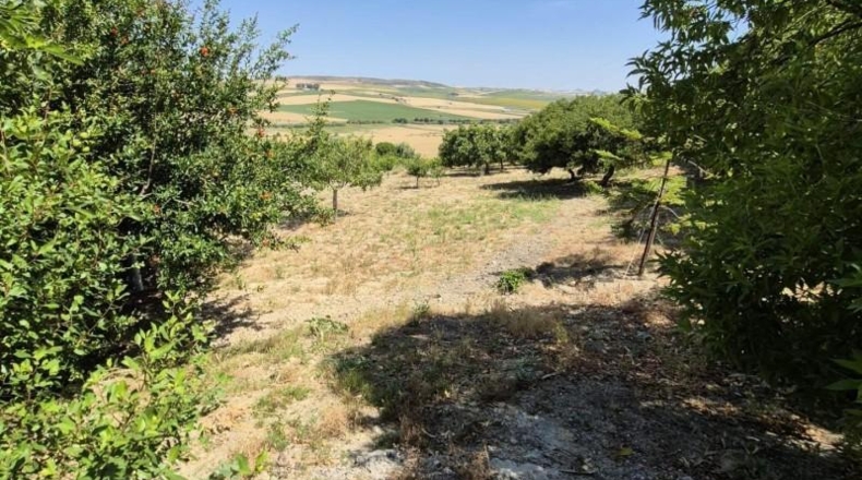 Cadiz - Arcos de la Frontera - 20500m2