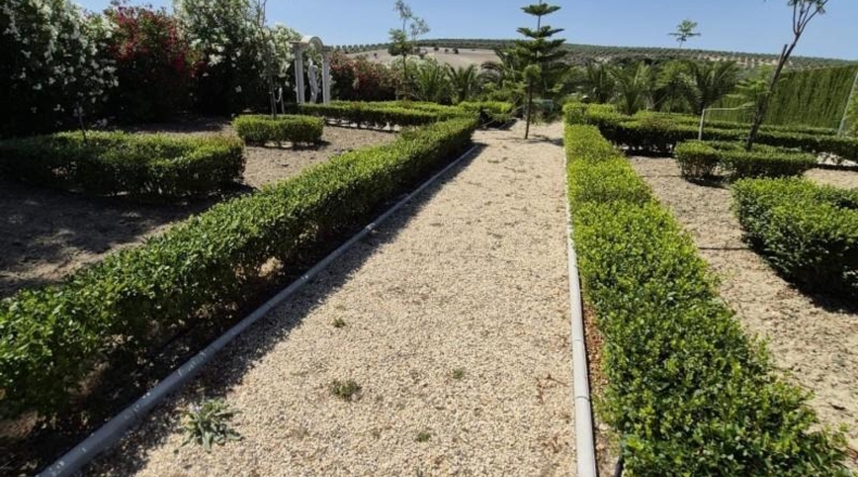 Cadiz - Arcos de la Frontera - 20500m2