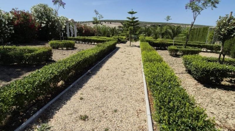 Cadiz - Arcos de la Frontera - 20500m2
