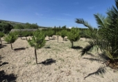 Xalet independent amb terreny en venda a la España, Arcos de la Frontera, ref.: TR247179 foto