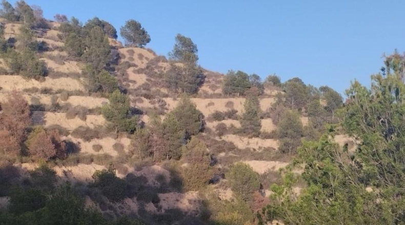 Murcia - Totana - 1420000m2