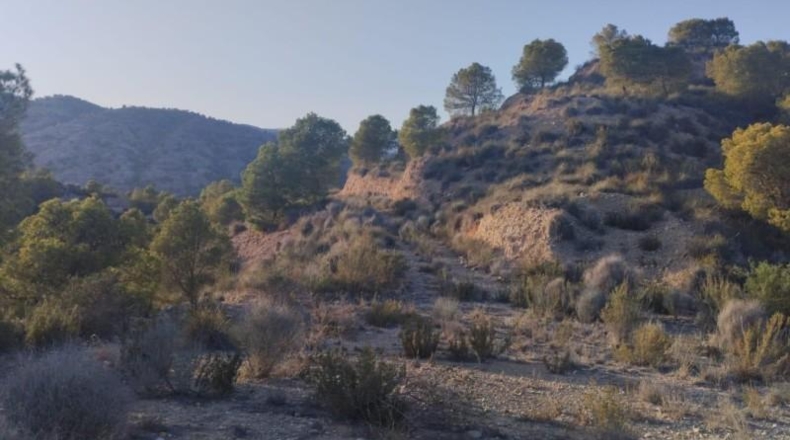 Murcia - Totana - 1420000m2