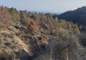 Casa amb terreny en venda a la España, Totana, ref.: TR323158 foto