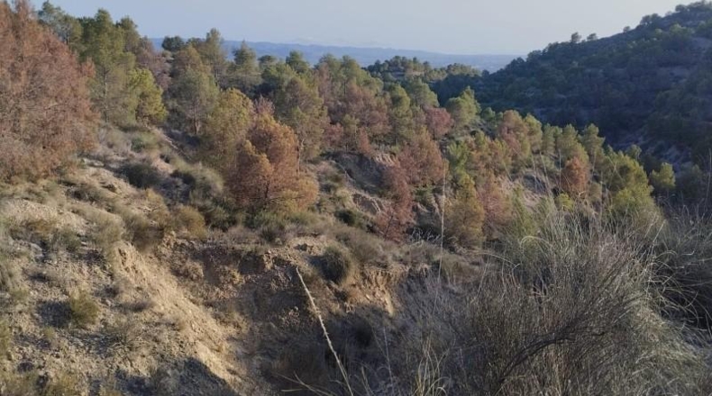 Murcia - Totana - 1420000m2