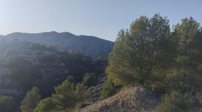 Murcia - Totana - 1420000m2