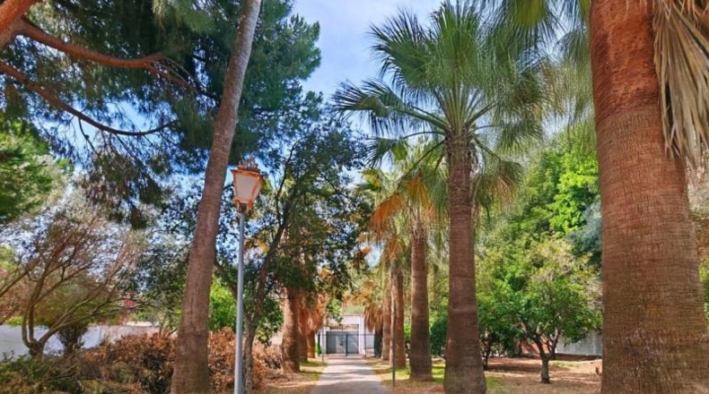 Cádiz - Chiclana de la Frontera - 3200m2