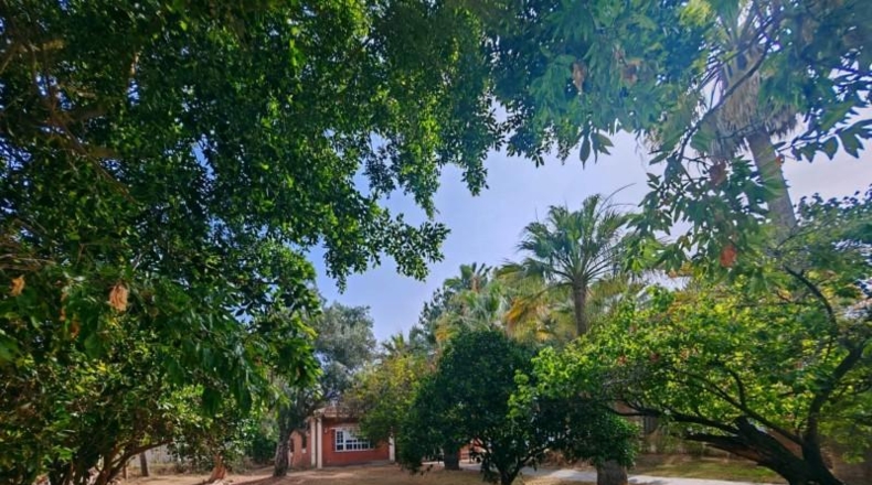 Cádiz - Chiclana de la Frontera - 3200m2
