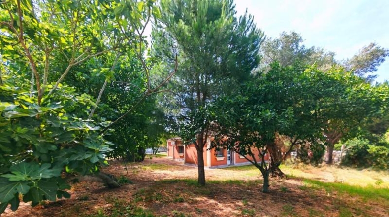 Cádiz - Chiclana de la Frontera - 3200m2