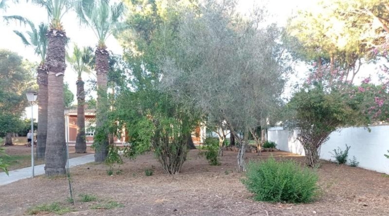 Cádiz - Chiclana de la Frontera - 3170m2