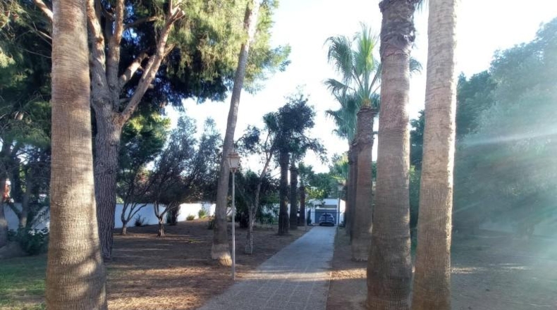Cádiz - Chiclana de la Frontera - 3170m2