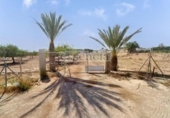 Terreny no urbanitzable en venda a la España, Sant Vicent del Raspeig, ref.: TR327424 foto