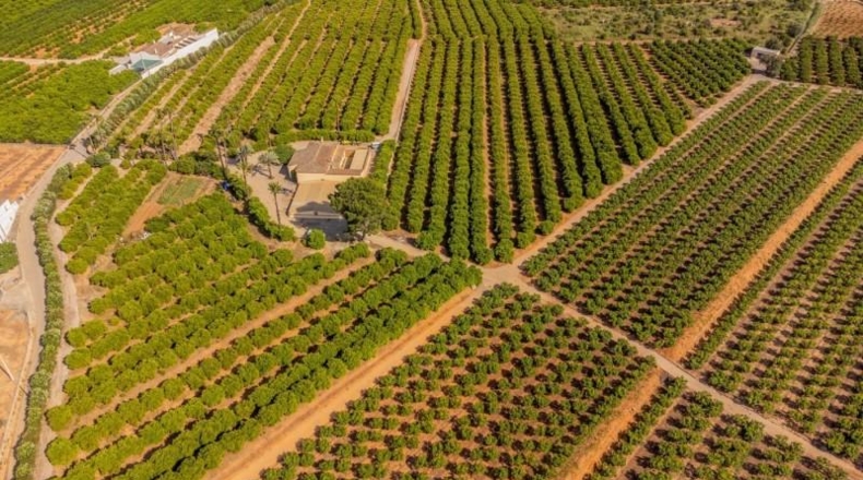 Valencia - Sant Joanet - 85000m2