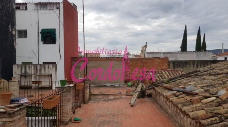 Córdoba - Córdoba - 800m2