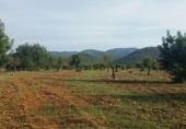 Non-developable land for sale on España, Bunyola, ref: TR114832 photo