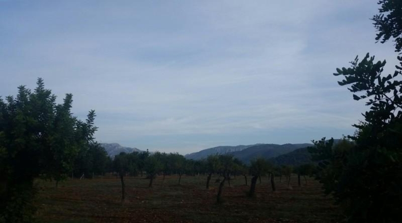 Balearic Islands - Buñola - 32000m2
