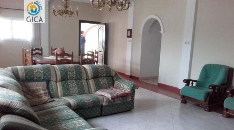 Cádiz - Jerez de la Frontera - 10000m2