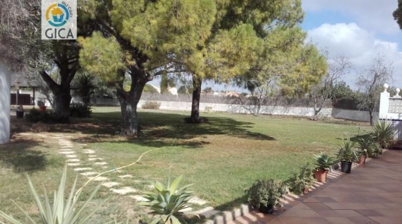 Cádiz - Jerez de la Frontera - 10000m2
