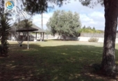 Casa de camp amb terreny en venda a la España, Jerez de la Frontera, ref.: TR142198 foto