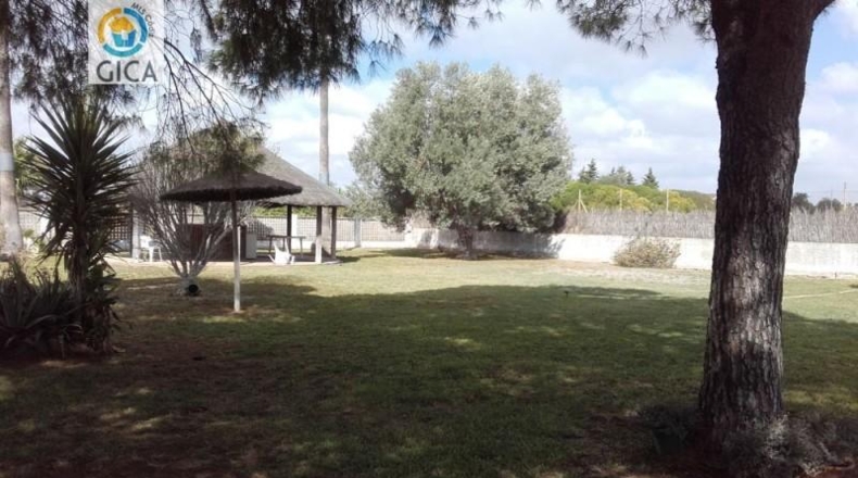 Cádiz - Jerez de la Frontera - 10000m2