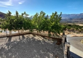 Casa de camp amb terreny en venda a la España, Vélez-Rubio, ref.: TR143156 foto