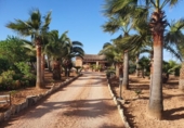 Xalet independent amb terreny en venda a la España, ses Salines, ref.: TR135324 foto