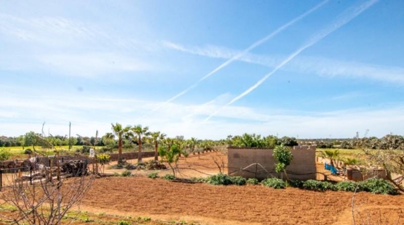 Islas Baleares - ses Salines - 10000m2