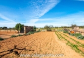 Xalet independent amb terreny en venda a la España, ses Salines, ref.: TR135324 foto