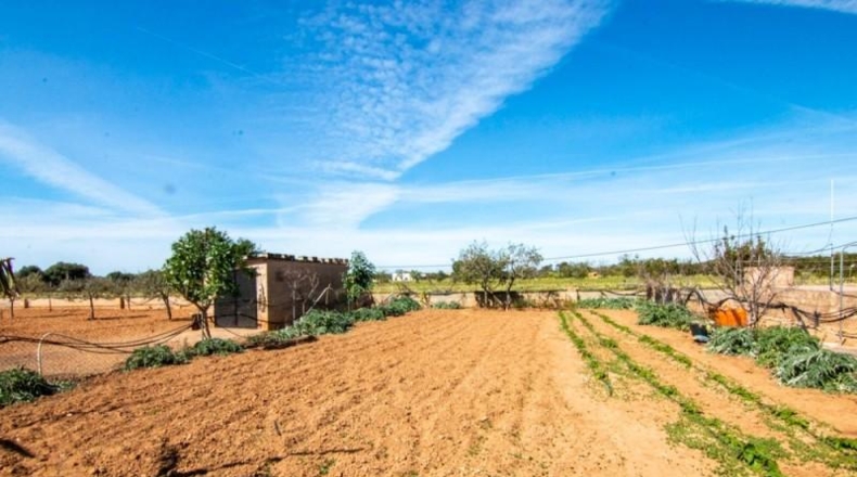 Islas Baleares - ses Salines - 10000m2