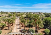Xalet independent amb terreny en venda a la España, ses Salines, ref.: TR135324 foto