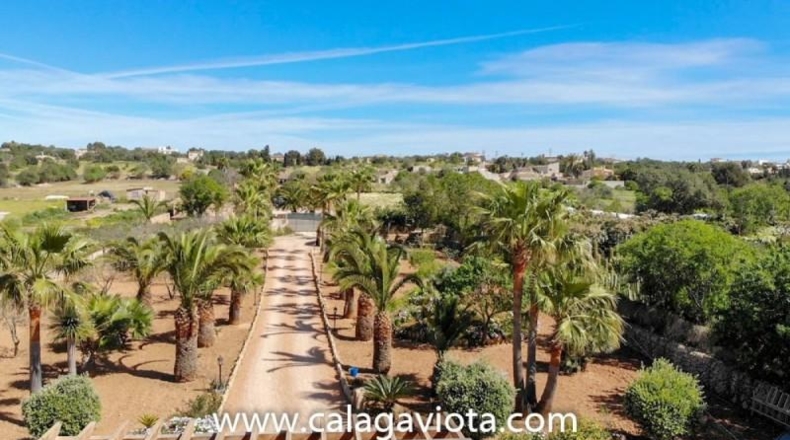 Islas Baleares - ses Salines - 10000m2