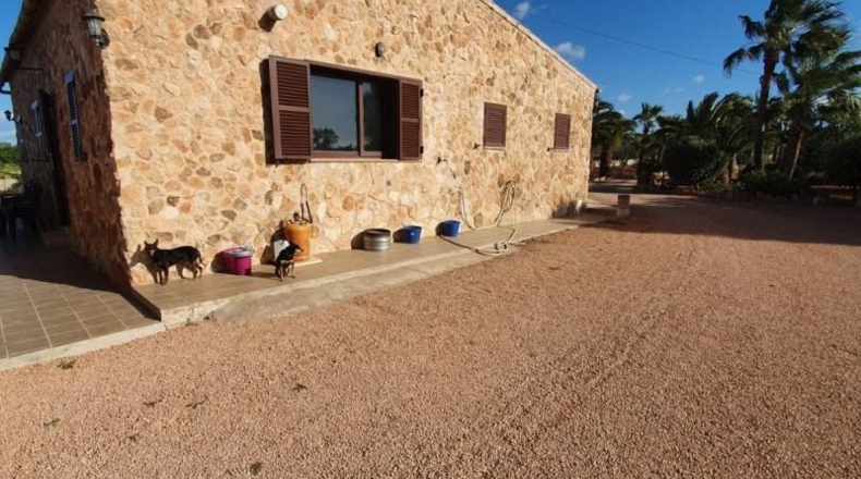 Islas Baleares - ses Salines - 10000m2