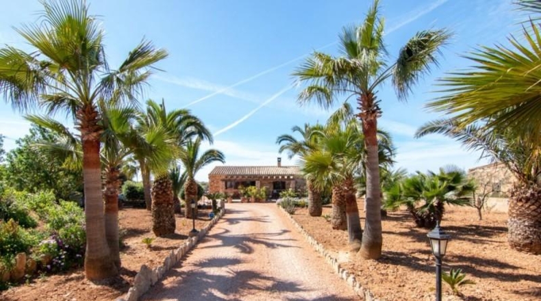 Islas Baleares - ses Salines - 10000m2