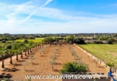 Xalet independent amb terreny en venda a la España, ses Salines, ref.: TR135324 foto