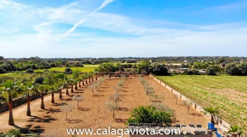 Islas Baleares - ses Salines - 10000m2