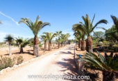 Xalet independent amb terreny en venda a la España, ses Salines, ref.: TR135324 foto