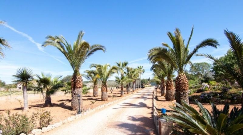 Islas Baleares - ses Salines - 10000m2