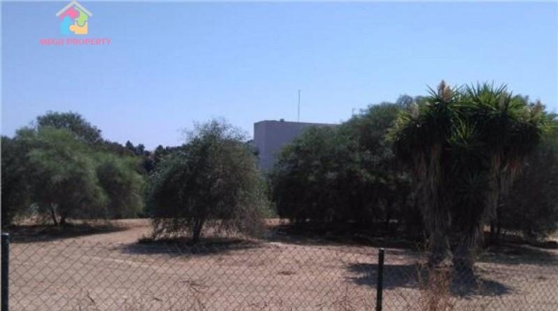 Cádiz - San Roque - 2008m2