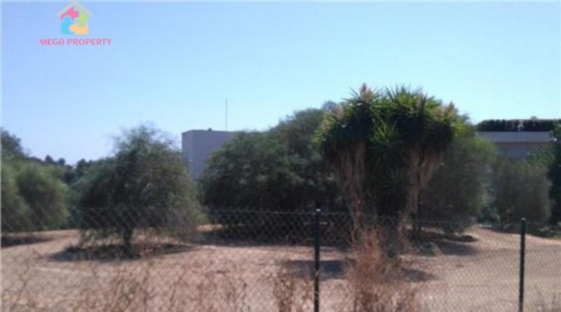 Cádiz - San Roque - 2008m2