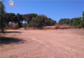 Terreno no urbanizable en venta en la España, San Roque, ref: TR115451 foto