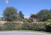 Terreno no urbanizable en venta en la España, San Roque, ref: TR115451 foto